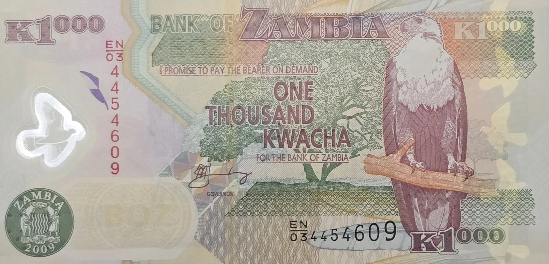اسکناس زامبیا 1000 کواچا زامبیا پلیمری